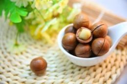 Protein food